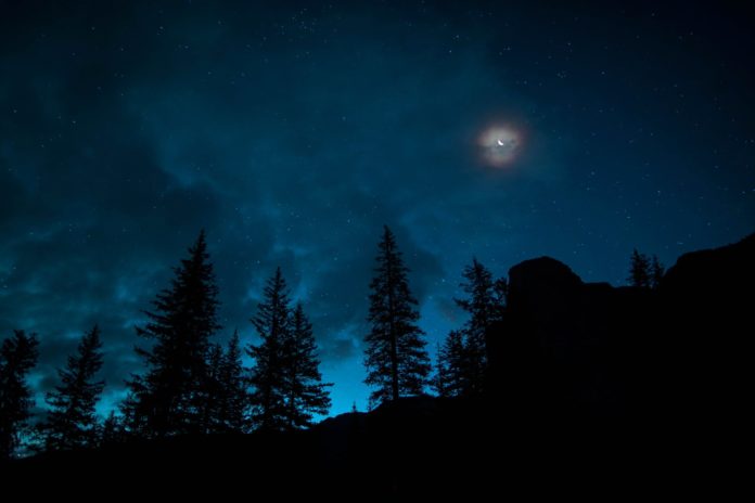 pexels-photo-2885320 moonlight on a dark sky